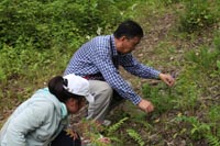 长白山野外实习